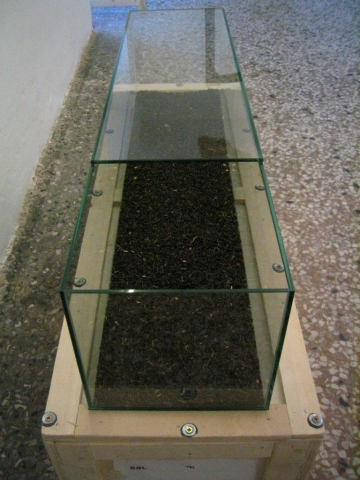 Satoshi Hirose, Casa del tè_installazione_